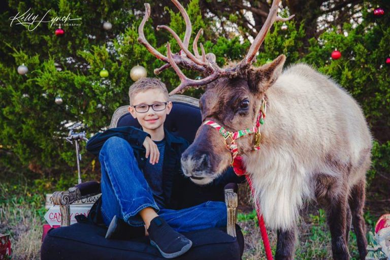 Boy and Reindeer Main Photo