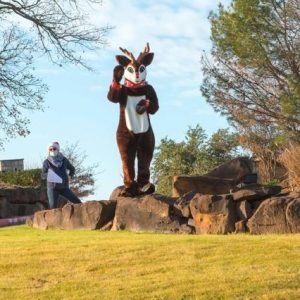 Rudolph Mascot for Hire in DFW - Santas Reindeer for Hire